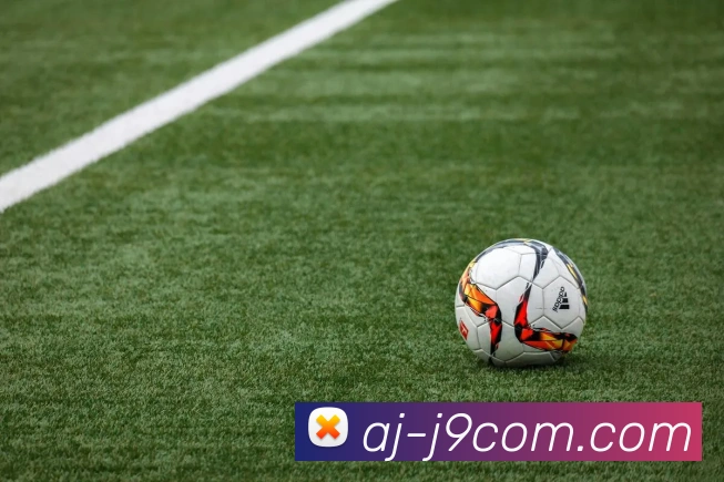 九游会官网APP 封面图